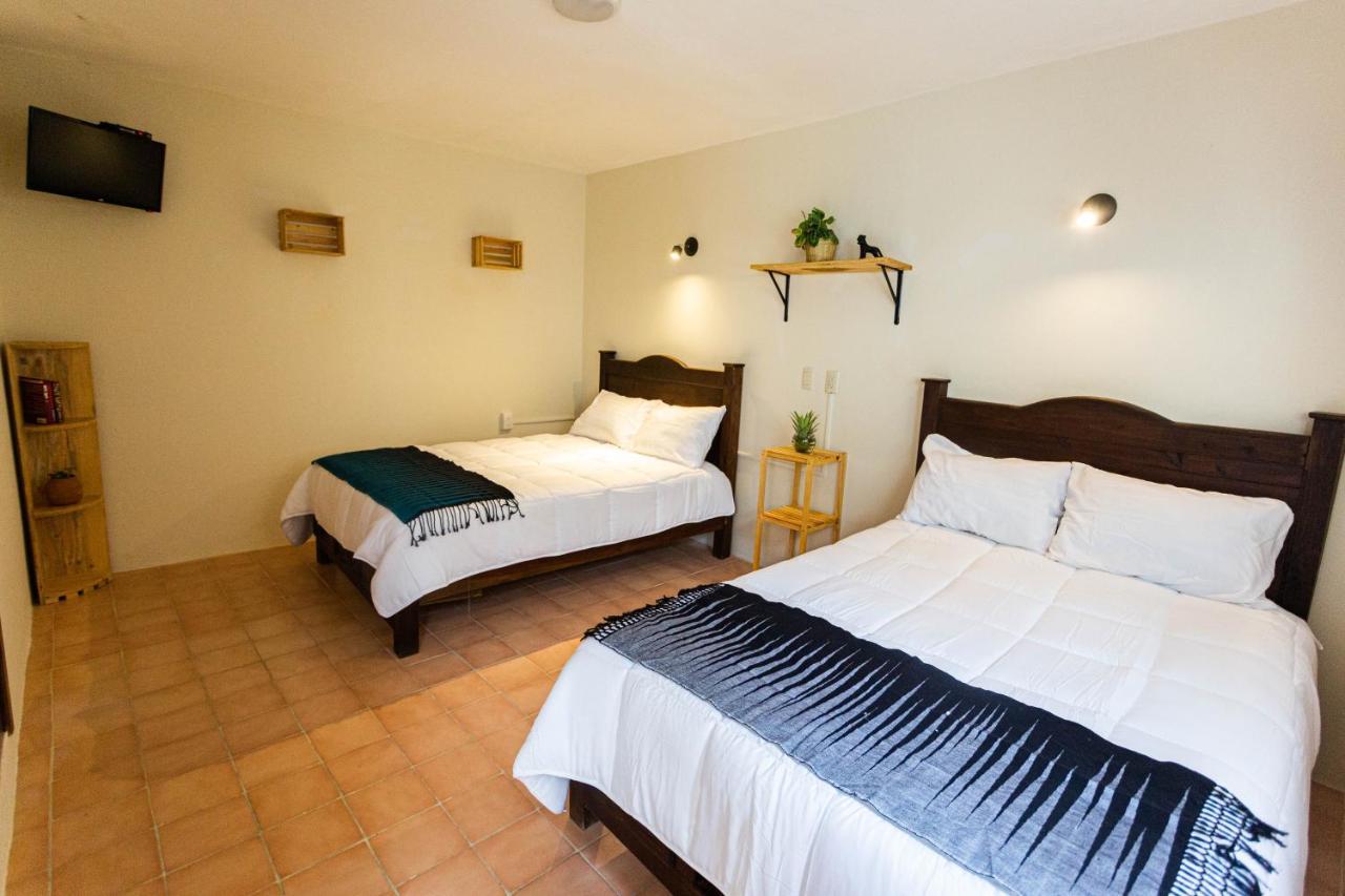 Hotel Casa Venus à San Cristóbal de Las Casas Extérieur photo