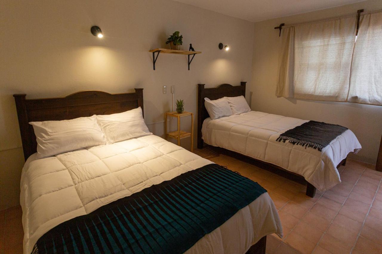 Hotel Casa Venus à San Cristóbal de Las Casas Extérieur photo